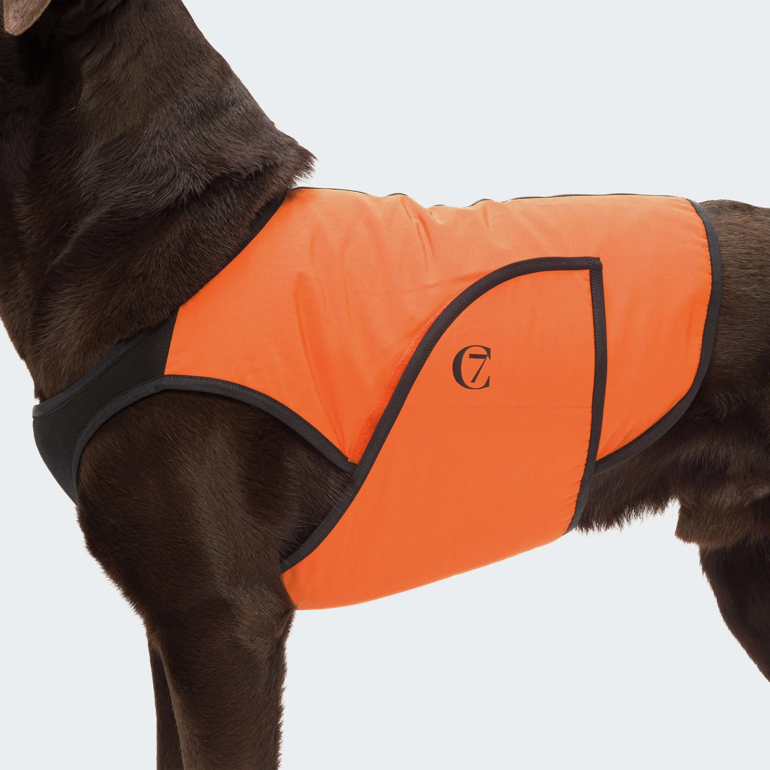 Cloud7 - Dog Cooling Vest