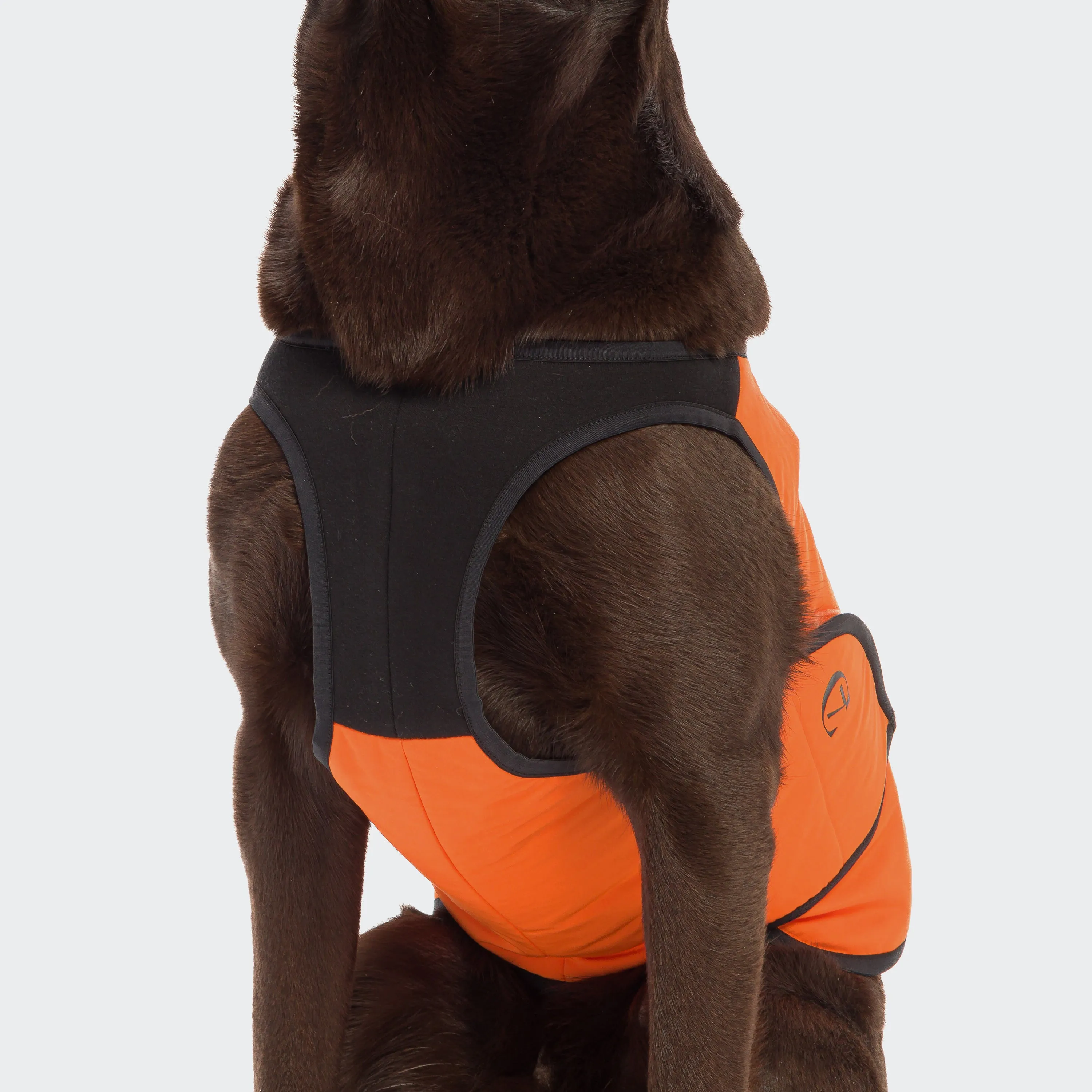 Cloud7 - Dog Cooling Vest