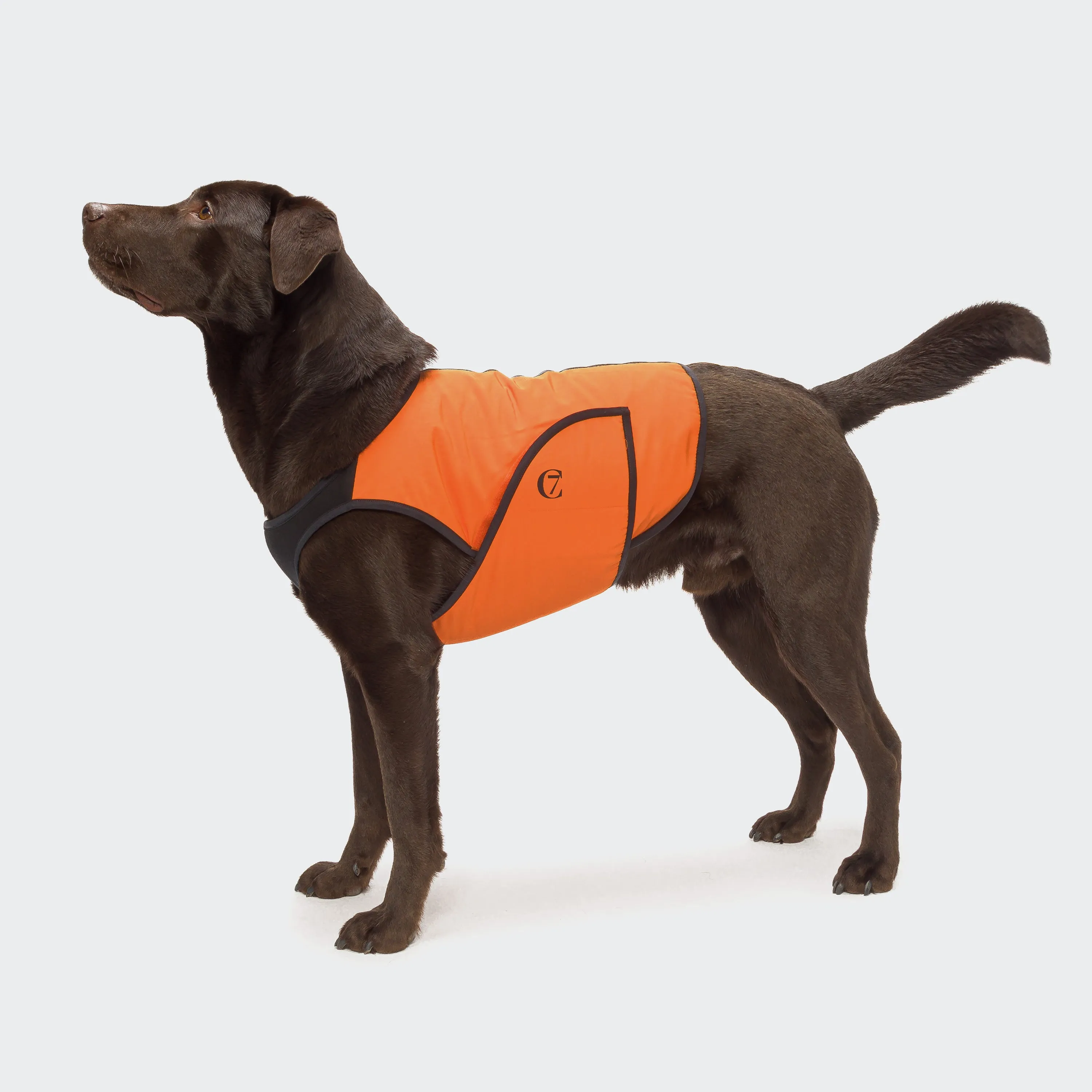 Cloud7 - Dog Cooling Vest