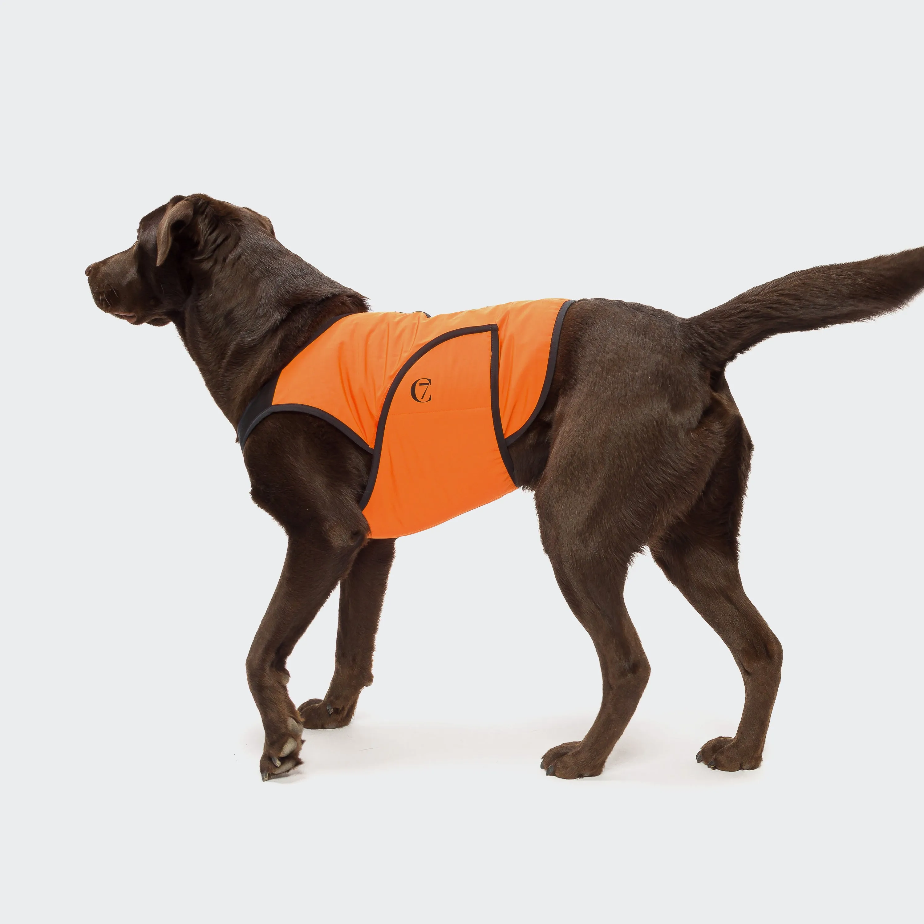 Cloud7 - Dog Cooling Vest