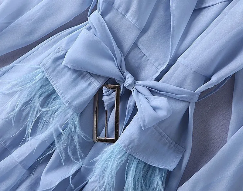 Pre Order:  Blue Transparent Trench Dress